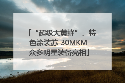 “超级大黄蜂”、特色涂装苏-30MKM 众多明星装备亮相