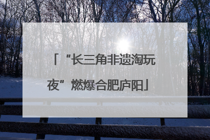 “长三角非遗淘玩夜”燃爆合肥庐阳