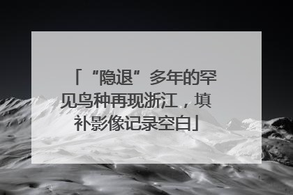 “隐退”多年的罕见鸟种再现浙江，填补影像记录空白