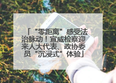“零距离”感受法治脉动！宣威检察迎来人大代表、政协委员“沉浸式”体验
