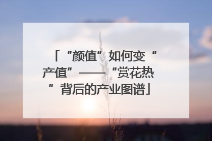 “颜值”如何变“产值”——“赏花热”背后的产业图谱