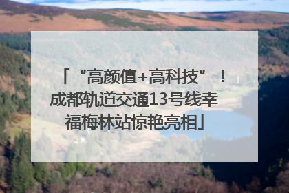 “高颜值+高科技”！成都轨道交通13号线幸福梅林站惊艳亮相