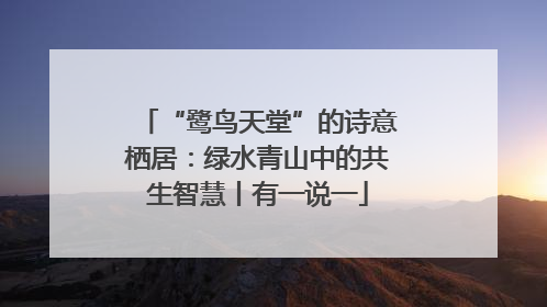 “鹭鸟天堂”的诗意栖居：绿水青山中的共生智慧丨有一说一
