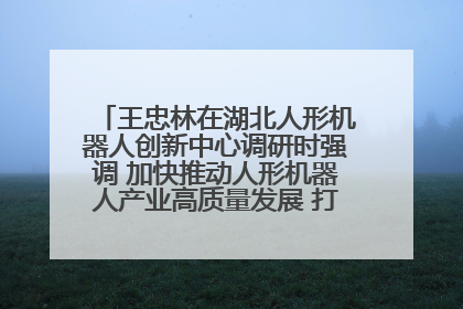 王忠林在湖北人形机器人创新中心调研时强调 加快推动人形机器人产业高质量发展 打造具有全国影响力的研发创新基地