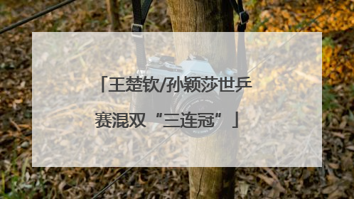 王楚钦/孙颖莎世乒赛混双“三连冠”