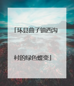 环县曲子镇西沟村的绿色蝶变
