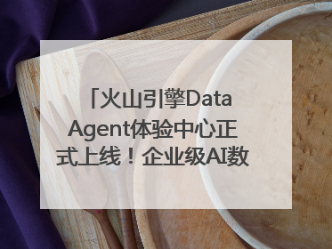 火山引擎Data Agent体验中心正式上线！企业级AI数据专家触手可及