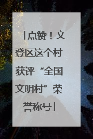 点赞！文登区这个村获评“全国文明村”荣誉称号