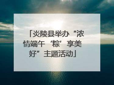 炎陵县举办“浓情端午‘粽’享美好”主题活动