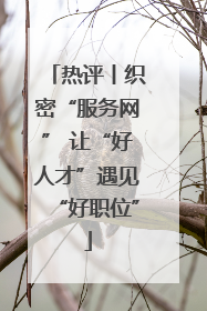 热评丨织密“服务网” 让“好人才”遇见“好职位”