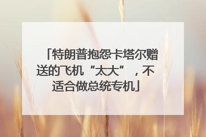特朗普抱怨卡塔尔赠送的飞机“太大”，不适合做总统专机