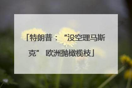 特朗普：“没空理马斯克” 欧洲抛橄榄枝