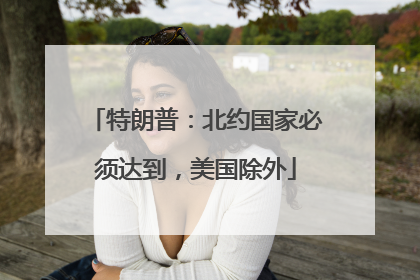特朗普：北约国家必须达到，美国除外