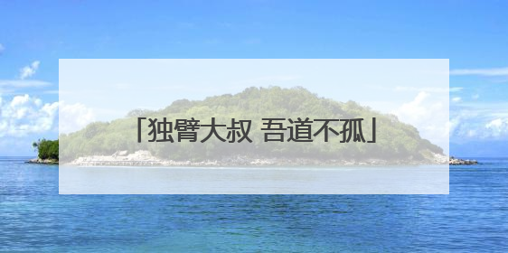 独臂大叔 吾道不孤