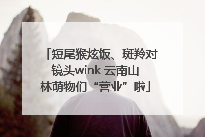 短尾猴炫饭、斑羚对镜头wink 云南山林萌物们“营业”啦