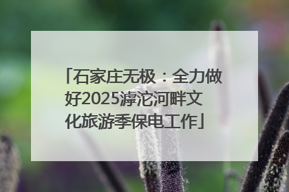 石家庄无极：全力做好2025滹沱河畔文化旅游季保电工作