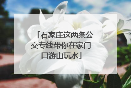 石家庄这两条公交专线带你在家门口游山玩水