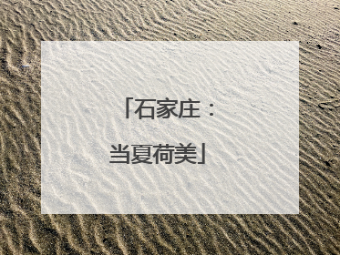 石家庄：当夏荷美