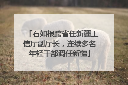 石如根跨省任新疆工信厅副厅长，连续多名年轻干部调任新疆