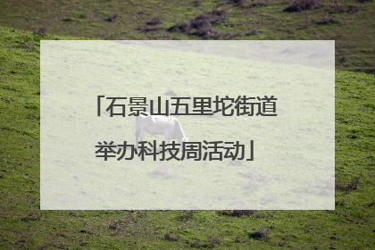 石景山五里坨街道举办科技周活动