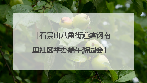 石景山八角街道建钢南里社区举办端午游园会