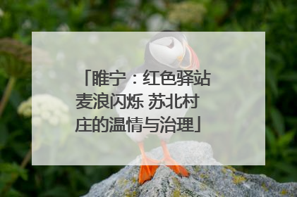 睢宁：红色驿站麦浪闪烁 苏北村庄的温情与治理