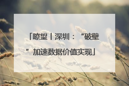 瞭望丨深圳：“破壁”加速数据价值实现