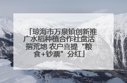 琼海市万泉镇创新推广水稻种植合作社盘活撂荒地 农户喜提“粮食+钞票”分红