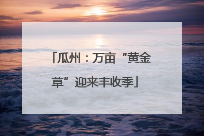 瓜州：万亩“黄金草”迎来丰收季