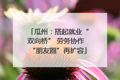 瓜州：搭起就业“双向桥” 劳务协作“朋友圈”再扩容