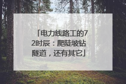电力线路工的72时辰：爬陡坡钻隧道，还有其它