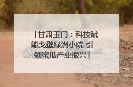甘肃玉门：科技赋能戈壁绿洲小院 引领蜜瓜产业振兴