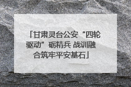 甘肃灵台公安“四轮驱动”砺精兵 战训融合筑牢平安基石