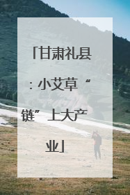 甘肃礼县：小艾草“链”上大产业