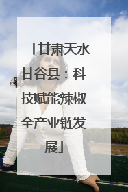 甘肃天水甘谷县：科技赋能辣椒全产业链发展