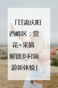 甘肃庆阳西峰区：赏花+采摘 解锁乡村旅游新体验