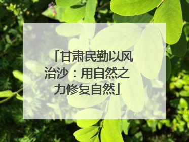 甘肃民勤以风治沙：用自然之力修复自然