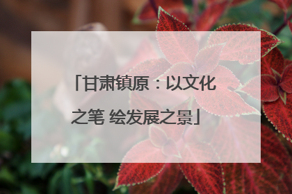 甘肃镇原：以文化之笔 绘发展之景