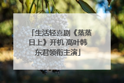生活轻喜剧《蒸蒸日上》开机 高叶韩东君领衔主演
