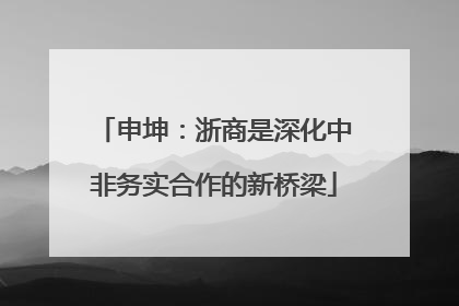 申坤：浙商是深化中非务实合作的新桥梁
