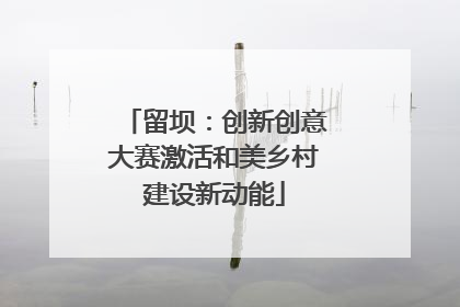 留坝：创新创意大赛激活和美乡村建设新动能