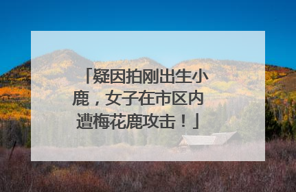 疑因拍刚出生小鹿，女子在市区内遭梅花鹿攻击！