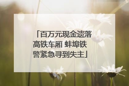 百万元现金遗落高铁车厢 蚌埠铁警紧急寻到失主