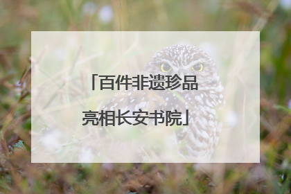 百件非遗珍品亮相长安书院