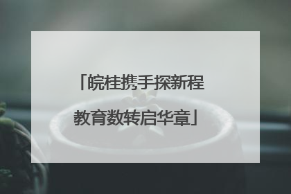 皖桂携手探新程 教育数转启华章