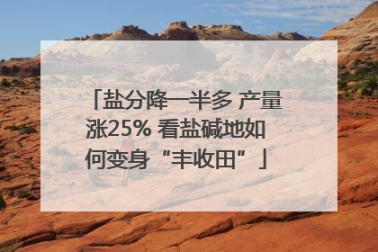 盐分降一半多 产量涨25% 看盐碱地如何变身“丰收田”