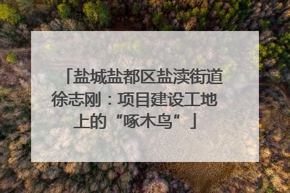 盐城盐都区盐渎街道徐志刚：项目建设工地上的“啄木鸟”