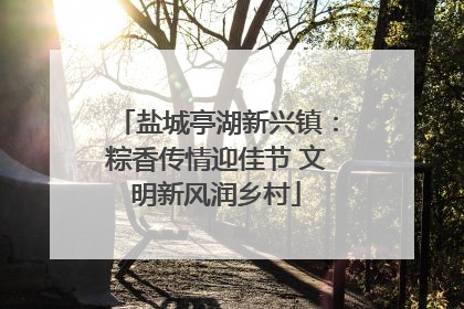 盐城亭湖新兴镇：粽香传情迎佳节 文明新风润乡村