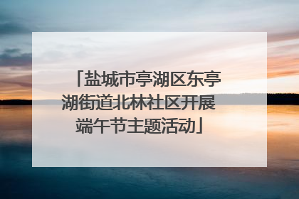 盐城市亭湖区东亭湖街道北林社区开展端午节主题活动