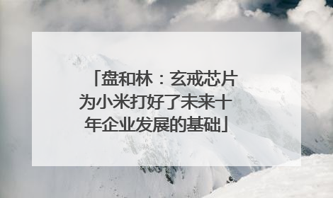 盘和林：玄戒芯片为小米打好了未来十年企业发展的基础